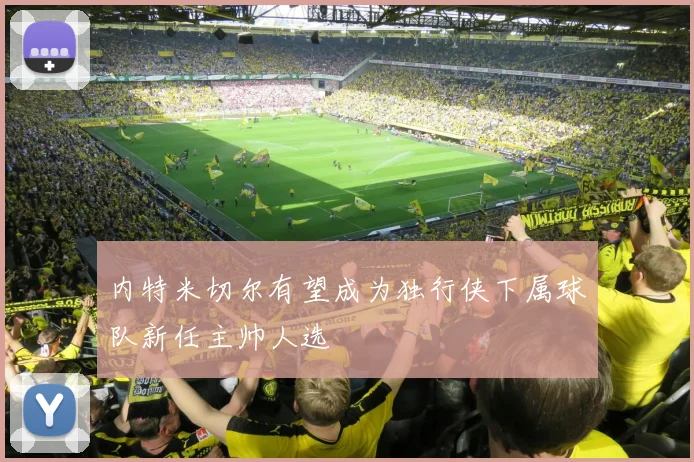 内特米切尔有望成为独行侠下属球队新任主帅人选